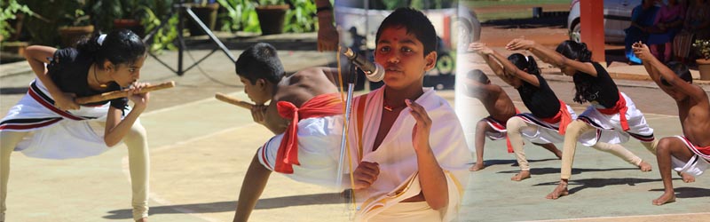 Celebration of Kerala Piravi